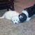 Jack Salerno's profile image