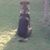 Bridget Wellman's profile image