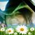 Lory S. Bradford's profile image