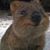 Eric Levine's profile image