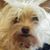 Melinda Howard's profile image