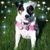 Christine Lavoie's profile image