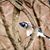 Darcel Swekel Demyanovich's profile image