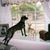 Cyndi Hodge's profile image