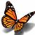 Amanda Martin's profile image