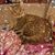 Freda Bartley Melvin's profile image