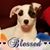 Cathy Brown's profile image