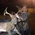 Tyler Hauck's profile image