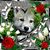 Tammie Shockey's profile image