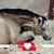 Ann Marie Grotzke's profile image
