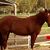 Bruce Beckstead's profile image