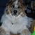 Barbara Mullen Awtrey's profile image