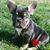 Andrea Mariana Sanchez's profile image