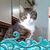 Rita Sue DeStefano's profile image