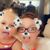 Lesley Deasy's profile image