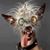 Keith McMillan's profile image
