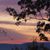 Bonnie Barnett Scalamogna's profile image