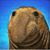 Ethan Grimm's profile image