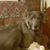 Sally Warner Dale's profile image