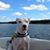 Mike Pangallo's profile image