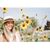 Nichole Bieth's profile image