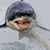 Tim Casey's profile image