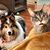 Caren Osrin Gittleman's profile image