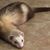 Mark Mitchell's profile image
