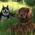 Teri Wiezorek Reisner's profile image