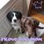 Sue Draheim's profile image