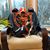 Carol Mitschele Klotz's profile image