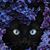 Suzanne Snyder Cannon's profile image
