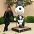 Nancy Buckley's profile image