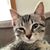 Aurea Nascimento's profile image