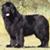 Nelly Delage's profile image