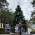 Victoria Valladares Wood's profile image