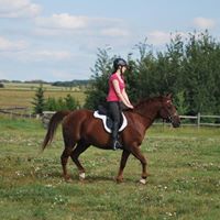 Anne Marie Swanson's profile image