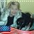 Bonnie Frederickson's profile image