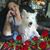 Debbie Ferderer's profile image
