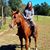 Connie Formosa's profile image