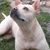 Eugene Mcgarity Kerfoot's profile image