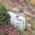 Kathi Goodwin's profile image