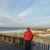Kathy Williams's profile image