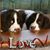 Shelly Agnitsch's profile image
