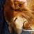 Brandi Le Hew Mills's profile image