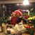 Zoya Hallman's profile image