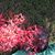 Danie Hope Jones's profile image