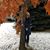 Susan Steinman's profile image