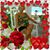 Kay Hughes's profile image
