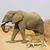Vijay Bahl's profile image
